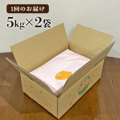 【全6回定期便】糸島産 いとし米 厳選ひのひかり 10kg 糸島市/三島商店 [AIM051]