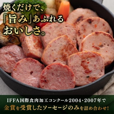 【全12回定期便】金賞受賞セット 5種詰め合わせ 糸島市/糸島手造りハム [AAC030]