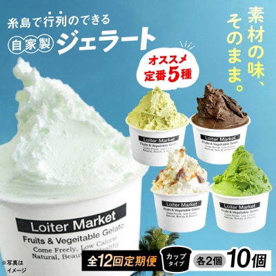 【全12回定期便】ジェラート カップ 10個セット:おすすめ5種類×各2個 [AGD019]