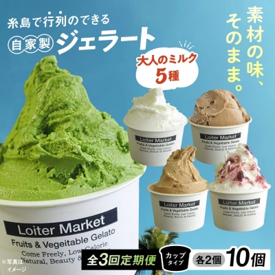 【全3回定期便】ジェラート カップ 10個セット! 大人の味 5種類 × 各2個[AGD020]