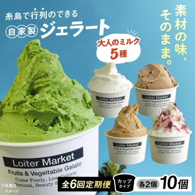 【全6回定期便】ジェラート カップ 10個セット! 大人の味 5種類 × 各2個[AGD021]