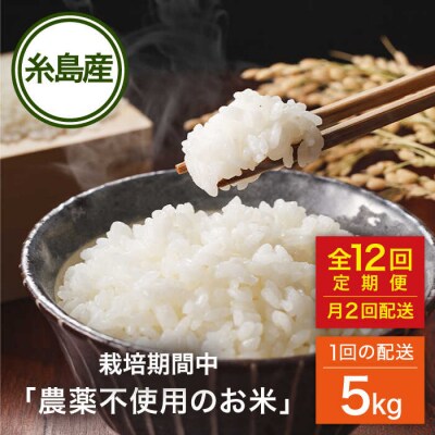 【全12回(月2回)定期便】栽培期間中農薬不使用のお米 ヒノヒカリ 5kg 糸島市[AHC058]