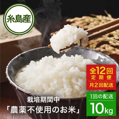 【全12回(月2回)定期便】栽培期間中農薬不使用のお米 ヒノヒカリ 10kg 糸島市[AHC059]