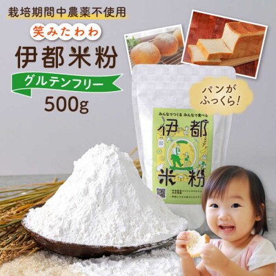伊都 米粉 笑みたわわ 500g 糸島市/フルタク [AHN007] グルテンフリー 米