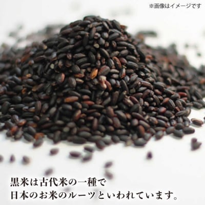 糸島産黒米 糸島市/Carna [ALA054] 雑穀米 雑穀