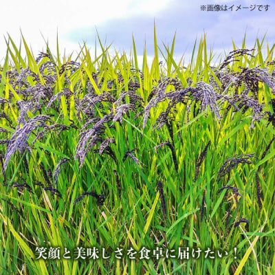 糸島産黒米 糸島市/Carna [ALA054] 雑穀米 雑穀