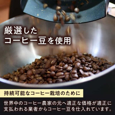 コーヒー豆 3種類 (豆または粉)  糸島市 /COFFEE SAZANAMi [ADN004]