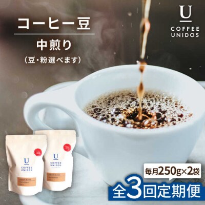【全3回定期便】中煎りコーヒー 豆 ウニドスブレンド 250g×2袋(豆or粉) [AQF021]