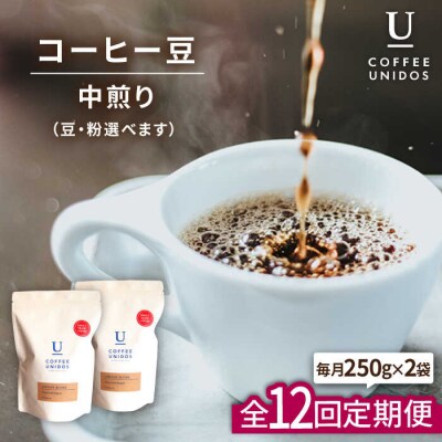 【全12回定期便】中煎りコーヒー 豆 ウニドスブレンド 250g×2袋(豆or粉) [AQF023]