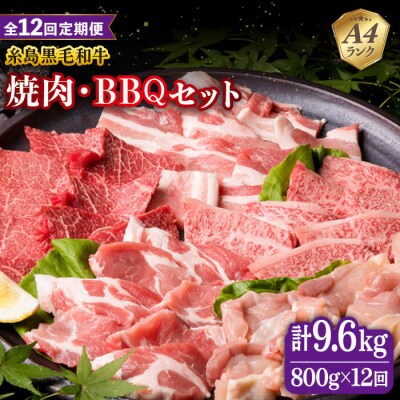【全12回定期便】焼肉・バーベキューセット 計800g 糸島市/糸島ミートデリ工房 [ACA274]