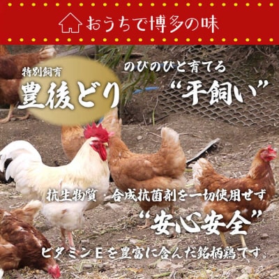 博多 水炊きセット (約2人前) 糸島市/博多 浜や [AFF036] 水炊き 鍋