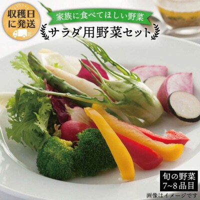朝採れ!【 栽培 期間中、 農薬・化学肥料不使用 】 サラダ用 糸島 野菜セット [AGE002]