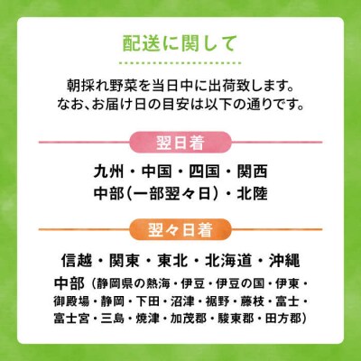 朝採れ!【 栽培 期間中、 農薬・化学肥料不使用 】 サラダ用 糸島 野菜セット [AGE002]