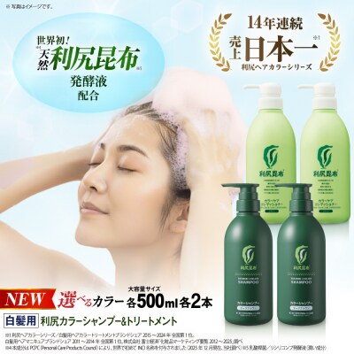 【色が選べる!4本セット】[白髪用]利尻シャンプー+ケアコンディショナー大容量サイズ[AZA072]