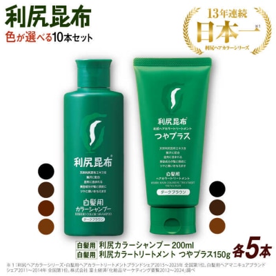 【色が選べる!10本セット】利尻カラーシャンプー+[白髪用]ヘアカラートリートメント[AZA089]