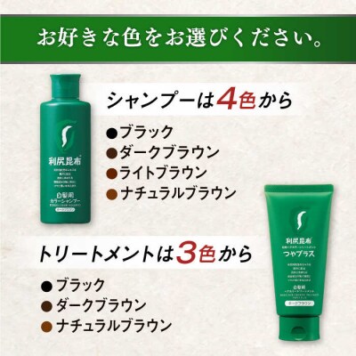 【色が選べる!10本セット】利尻カラーシャンプー+[白髪用]ヘアカラートリートメント[AZA089]