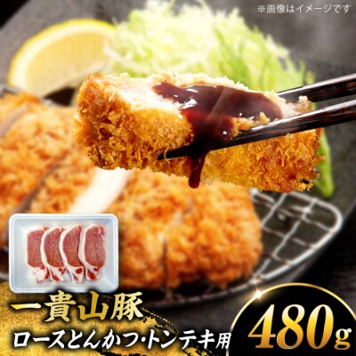 一貴山豚 ロースとんかつ・トンテキ用 計480g(120g×4枚) /いきさん牧場 [AGB030]