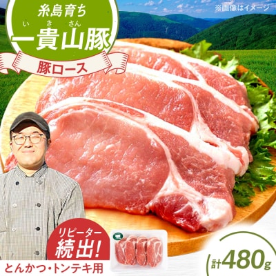 一貴山豚 ロースとんかつ・トンテキ用 計480g(120g×4枚) /いきさん牧場 [AGB030]