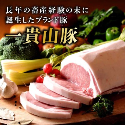 一貴山豚 ロースとんかつ・トンテキ用 計480g(120g×4枚) /いきさん牧場 [AGB030]