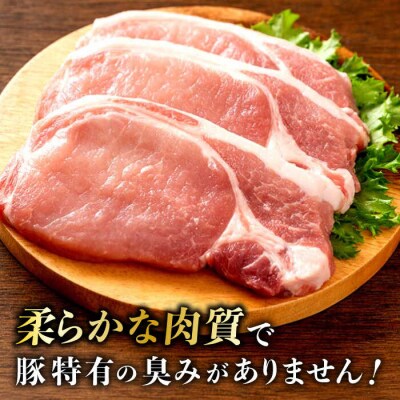 一貴山豚 ロースとんかつ・トンテキ用 計480g(120g×4枚) /いきさん牧場 [AGB030]