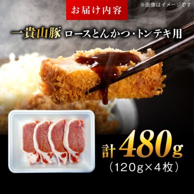 一貴山豚 ロースとんかつ・トンテキ用 計480g(120g×4枚) /いきさん牧場 [AGB030]