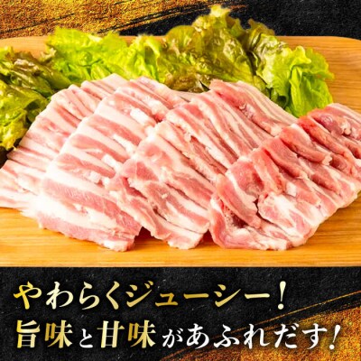 一貴山豚 焼肉用バラ肉 計500g(250g×2p) 糸島市/いきさん牧場 豚肉 [AGB034]