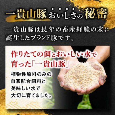 一貴山豚 ミンチ 計500g(250g×2p) 糸島市/いきさん牧場 豚肉 [AGB052]