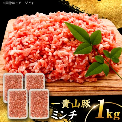 一貴山豚 ミンチ 計1kg(250g×4p) 糸島市/いきさん牧場 豚肉 [AGB053]