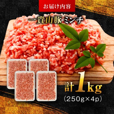 一貴山豚 ミンチ 計1kg(250g×4p) 糸島市/いきさん牧場 豚肉 [AGB053]