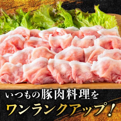 一貴山豚 切り落とし 計500g(250g×2p)  糸島市/いきさん牧場 豚肉 [AGB056]
