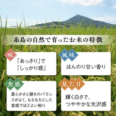 【全3回定期便】【こだわり精米】糸島産 夢つくし 5kg 糸島市/RCF 米 [AVM003]