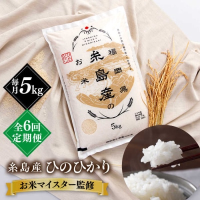 【全6回定期便】【こだわり精米】糸島産 ひのひかり 5kg 糸島市/RCF 米 [AVM007]