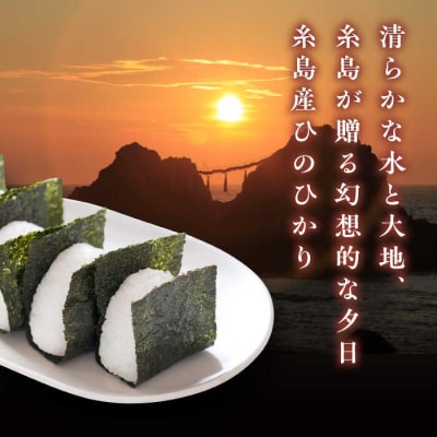 【全12回定期便】【こだわり精米】糸島産 ひのひかり 5kg 糸島市/RCF 米[AVM008]