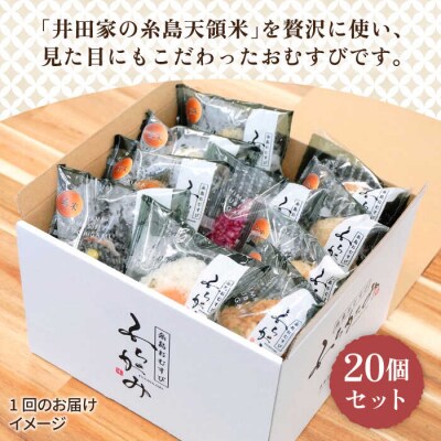 【全3回定期便】【玄米】冷凍 おむすび 20個(10種×各2個)セット[ANL005]