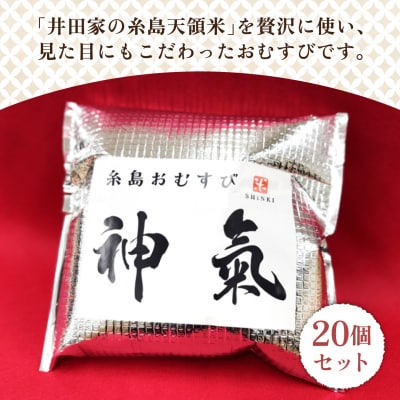 【全3回定期便】【玄米】冷凍 おむすび 20個(10種×各2個)セット[ANL005]