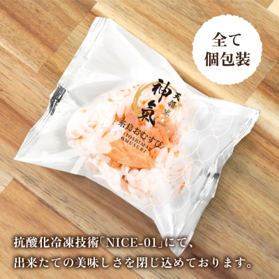 【全3回定期便】【玄米】冷凍 おむすび 20個(10種×各2個)セット[ANL005]
