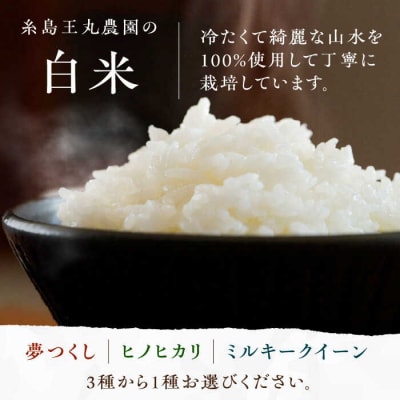 糸島おむすびセット いとしまごころ 米 佃煮 海苔 おむすび おにぎり [ASD025]