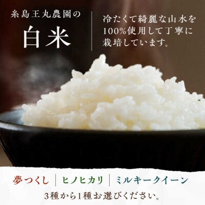 糸島ちらし寿司セット 5点 いとしまごころ 米 ちらし寿司の素 海苔 [ASD026]