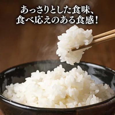 ＼令和6年産/糸島産 ひのひかり 3kg 糸島市/糸島ファーム青空 [ASM002]