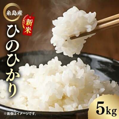 ＼令和6年産新米/糸島産 ひのひかり 5kg 糸島市/糸島ファーム青空 [ASM003]