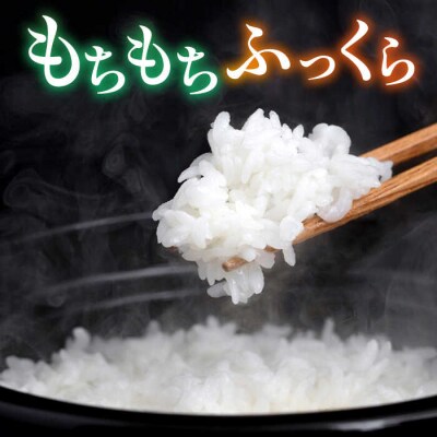 糸島産 ミルキークイーン 3kg×2袋 糸島市/平山農園 白米 [AXN002]