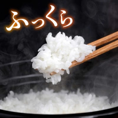 ＼令和6年産新米/糸島産 ヒノヒカリ 3kg×2袋 糸島市/平山農園 米 白米 [AXN004]