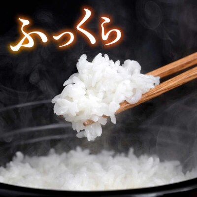 糸島産ヒノヒカリ3kg×2袋 平山農園 米 白米 [AXN004]