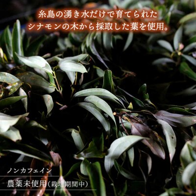 【全12回定期便】シナモンティー 2袋( 糸島産 シナモンリーフ 100%使用) [AGC013]