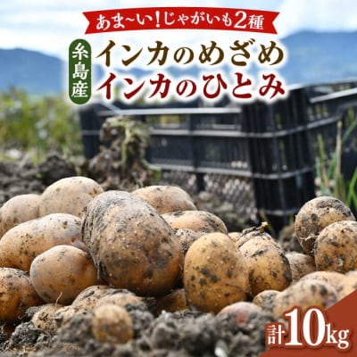 糸島育ちのジャガイモ 食べ比べ インカのめざめ インカのひとみ 各5kg・計10kg[ACO014]