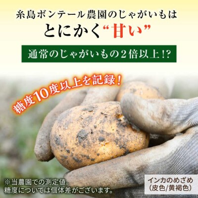 糸島育ちのジャガイモ 食べ比べ インカのめざめ インカのひとみ 各5kg・計10kg[ACO014]