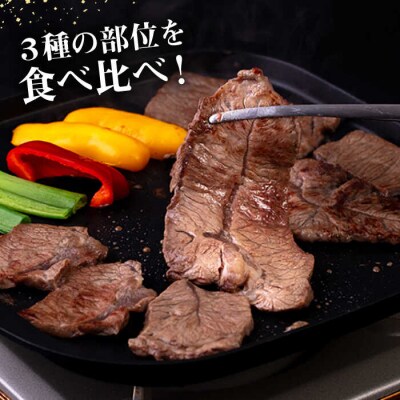 A4ランク 希少部位焼肉3種600g 2-3人前 肩ロース ミスジ モモ (カタ) [AGN001]