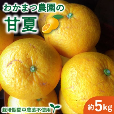 【先行受付】【有機栽培】甘夏 5kg 【2025年5月中旬ごろ順次発送】糸島市 [AHB050]