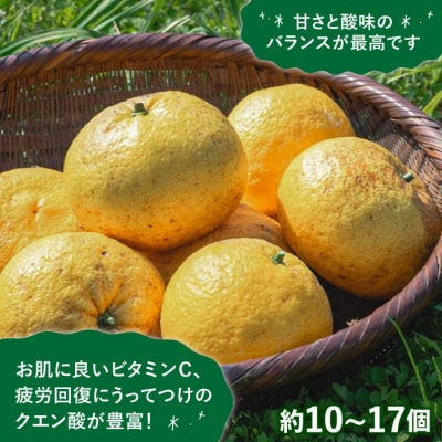 【先行受付】【有機栽培】甘夏 5kg 【2025年5月中旬ごろ順次発送】糸島市 [AHB050]