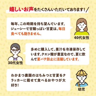 【先行受付】【有機栽培】甘夏 5kg 【2025年5月中旬ごろ順次発送】糸島市 [AHB050]